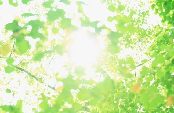 JAC（ジャパンアスリートクラブ）は鹿児島のスポーツ総合クラブです！！